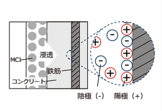 MCI分子が埋設鉄筋に浸透移行するメカニズム